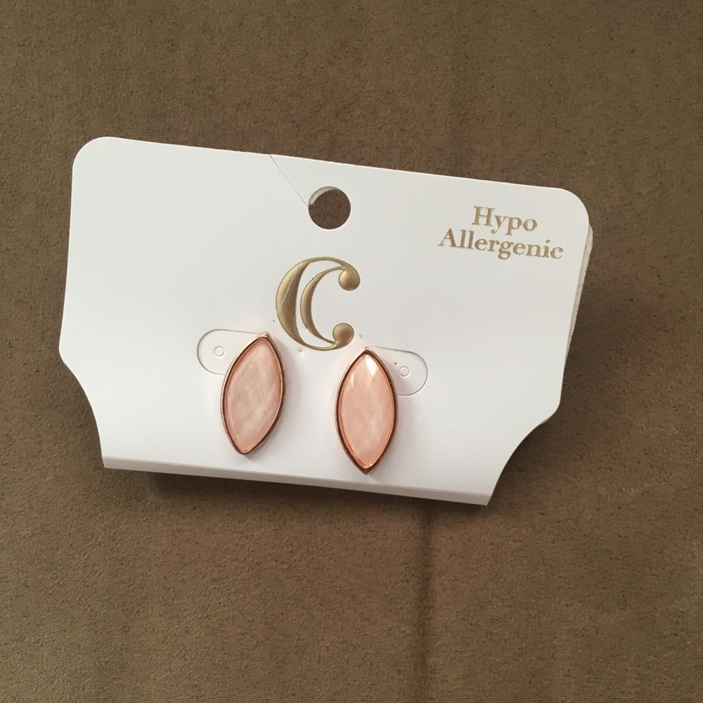 Charming Charlie Earrings